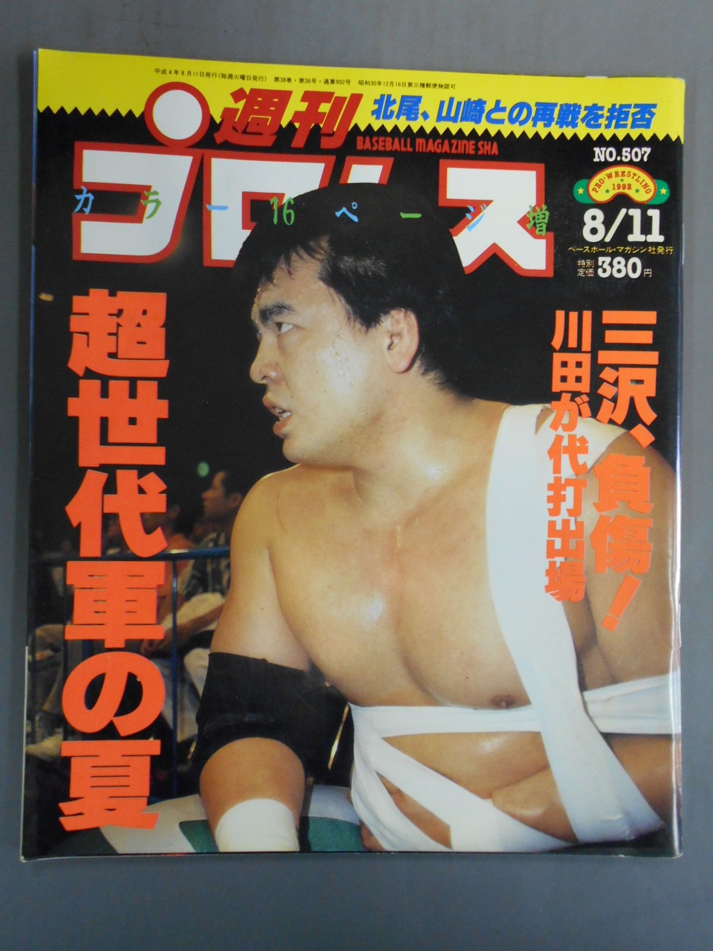 Weekly Pro Wrestling  507