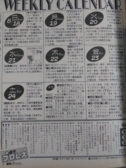Weekly Pro Wrestling 107