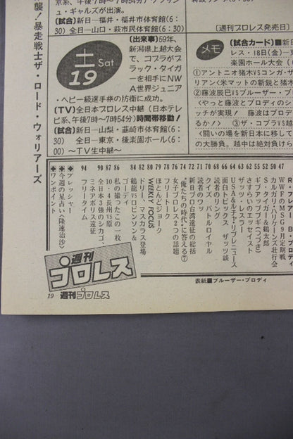 Weekly Pro Wrestling 115