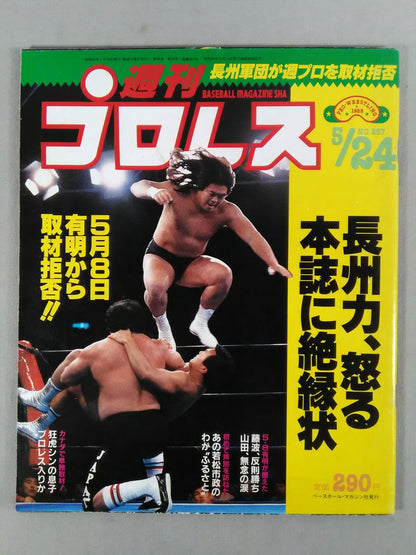 Weekly Pro Wrestling 257