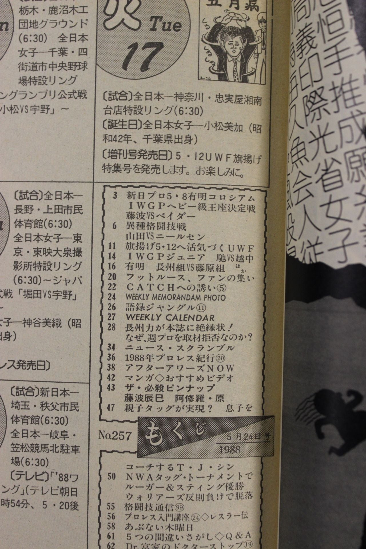 Weekly Pro Wrestling 257