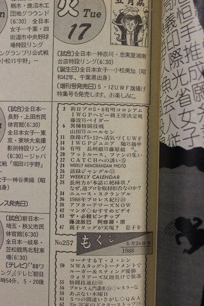 Weekly Pro Wrestling 257