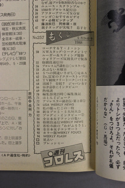 Weekly Pro Wrestling 257