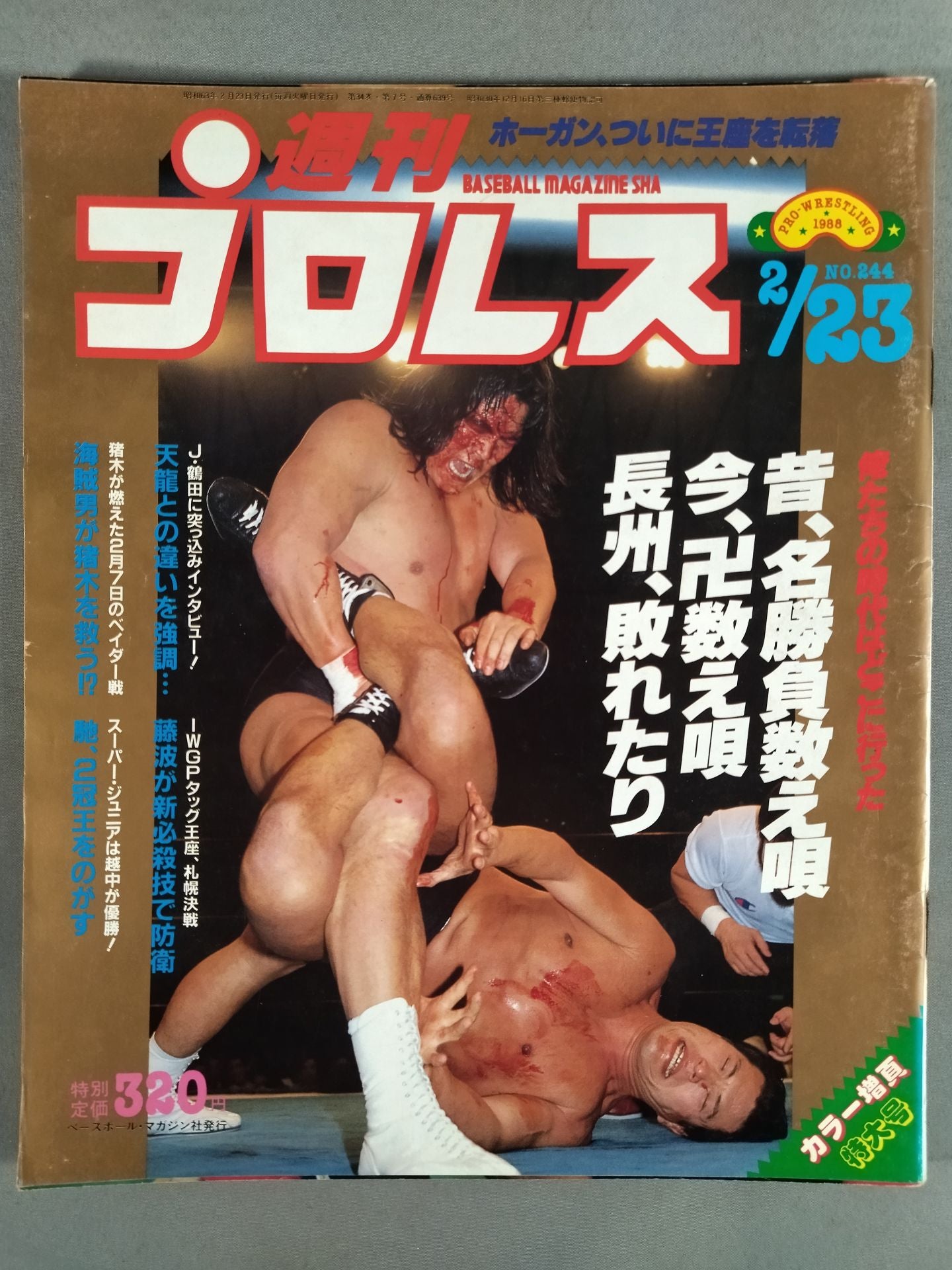 週刊プロレス244