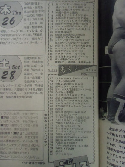 週刊プロレス233
