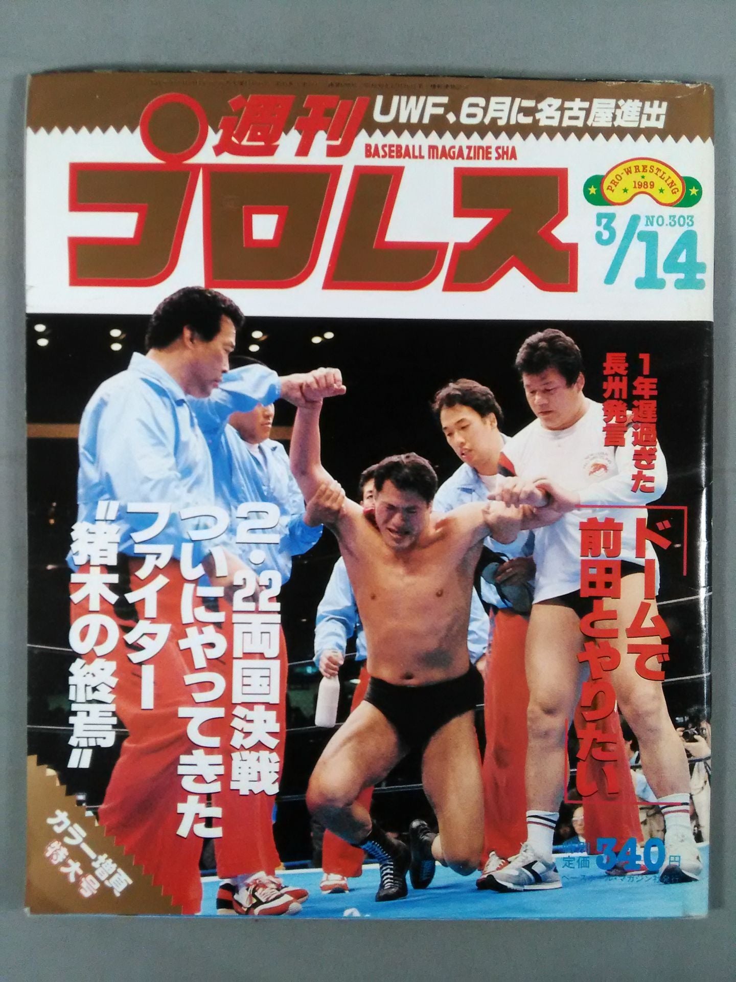 Weekly Pro Wrestling 303