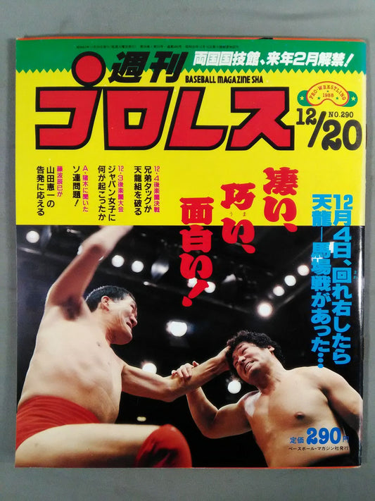 Weekly Pro Wrestling 290