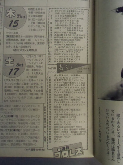 Weekly Pro Wrestling 290