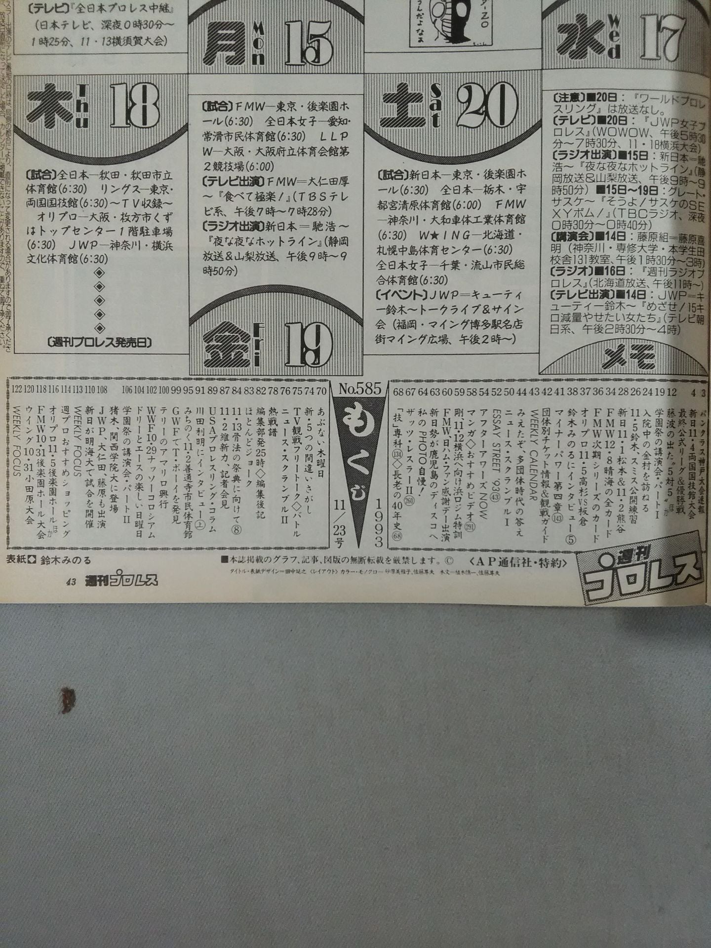 Weekly Pro Wrestling 585