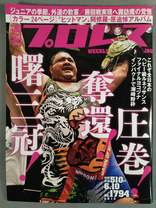 Weekly Pro Wrestling 1794