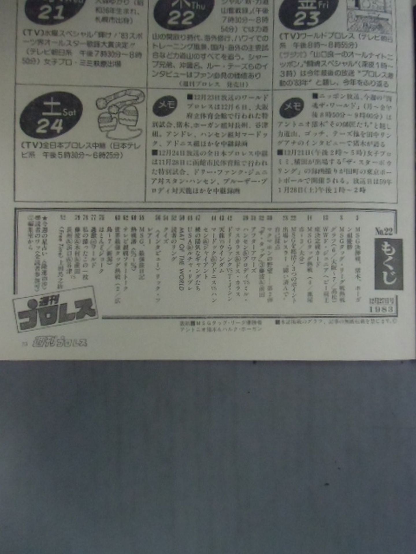 週刊プロレス22