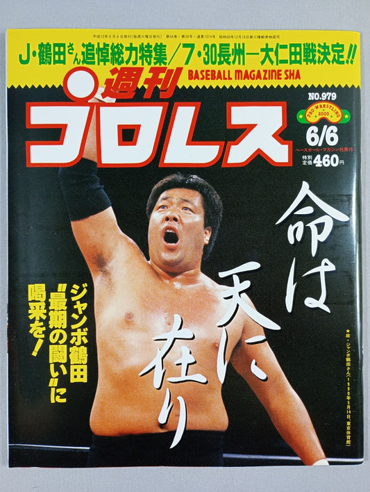 Weekly Pro Wrestling 979