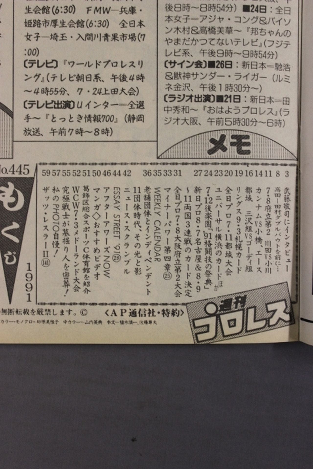 Weekly Pro Wrestling 445