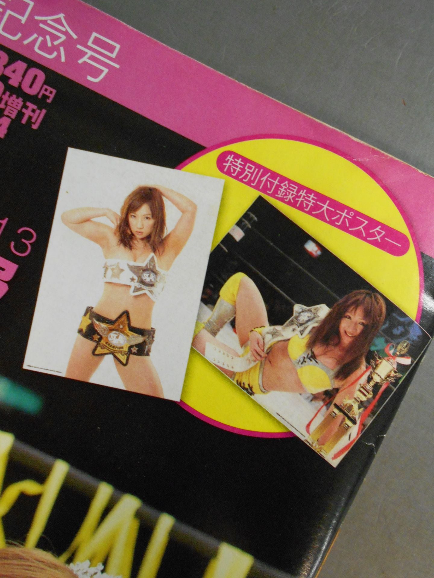 Weekly Pro Wrestling 1684