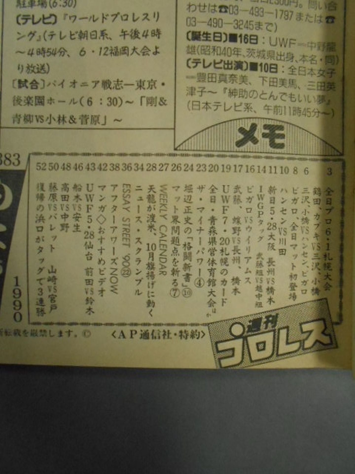 Weekly Pro Wrestling 383
