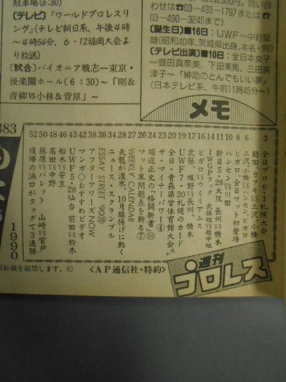 Weekly Pro Wrestling 383