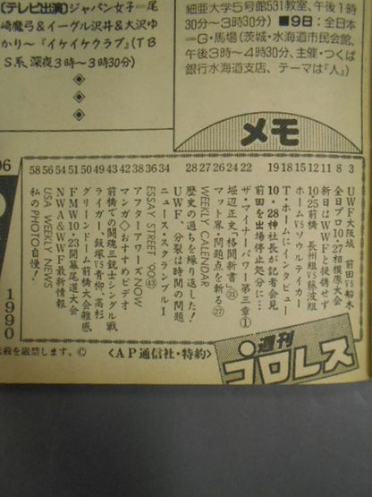 Weekly Pro Wrestling 406