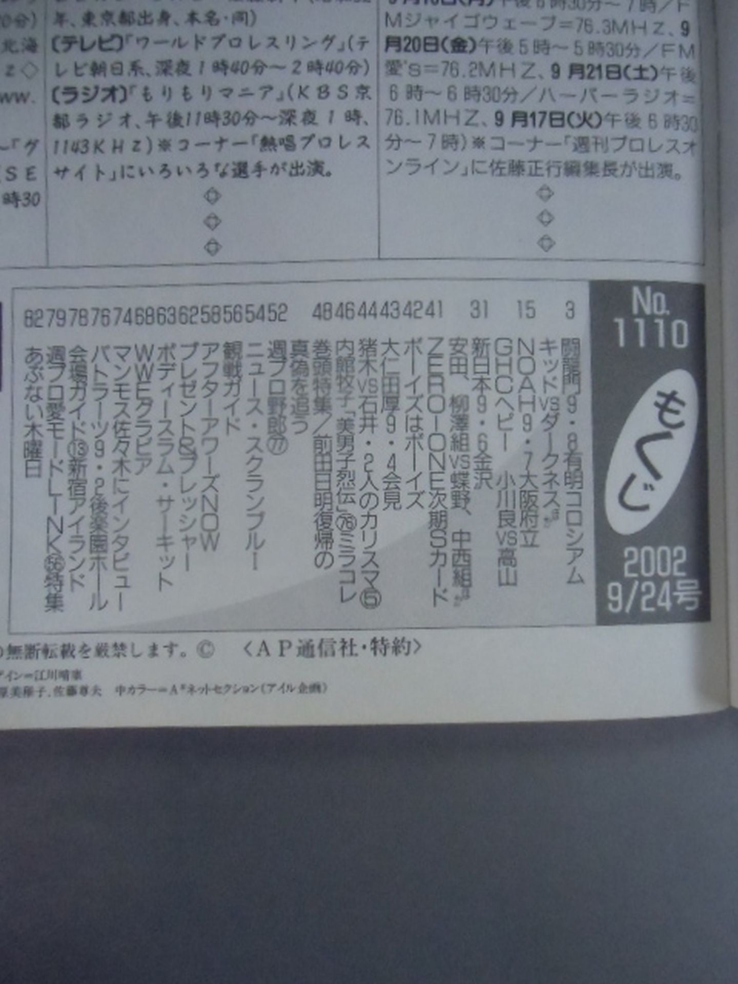 Weekly Pro Wrestling 1110