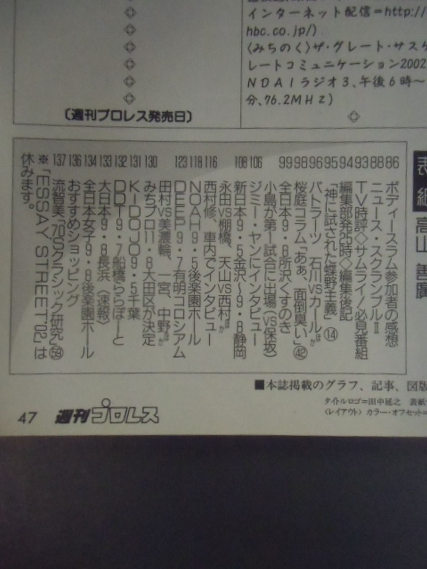 Weekly Pro Wrestling 1110