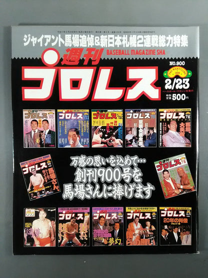 Weekly Pro Wrestling 900