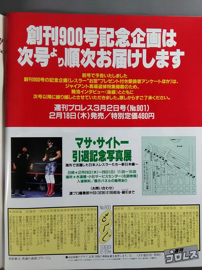 Weekly Pro Wrestling 900