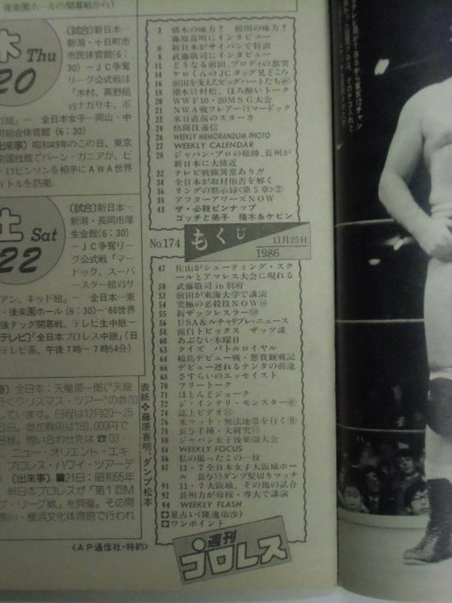 Weekly Pro Wrestling 174