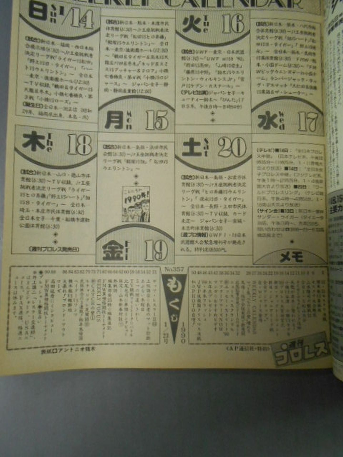 Weekly Pro Wrestling 357