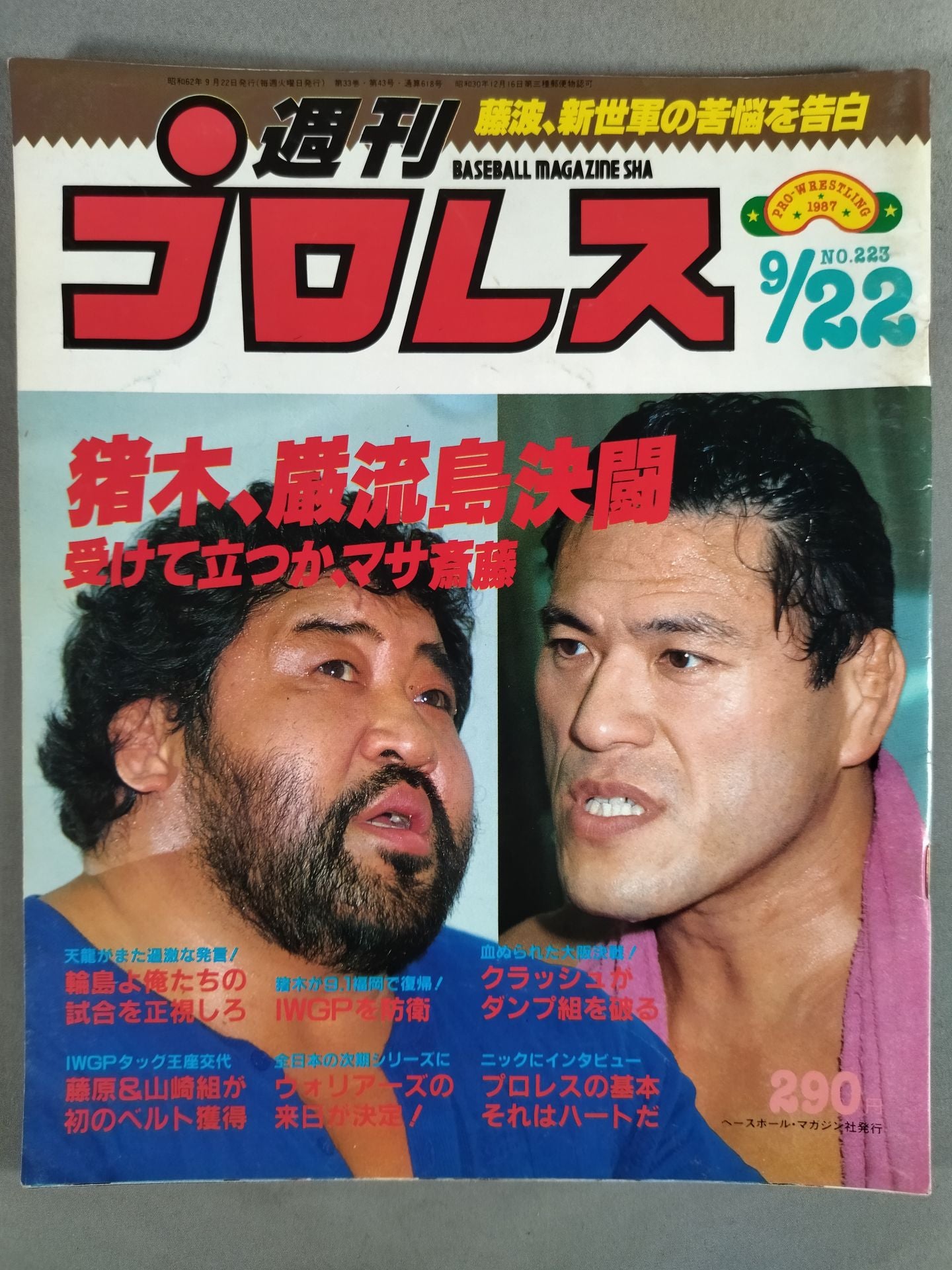 Weekly Pro Wrestling 223