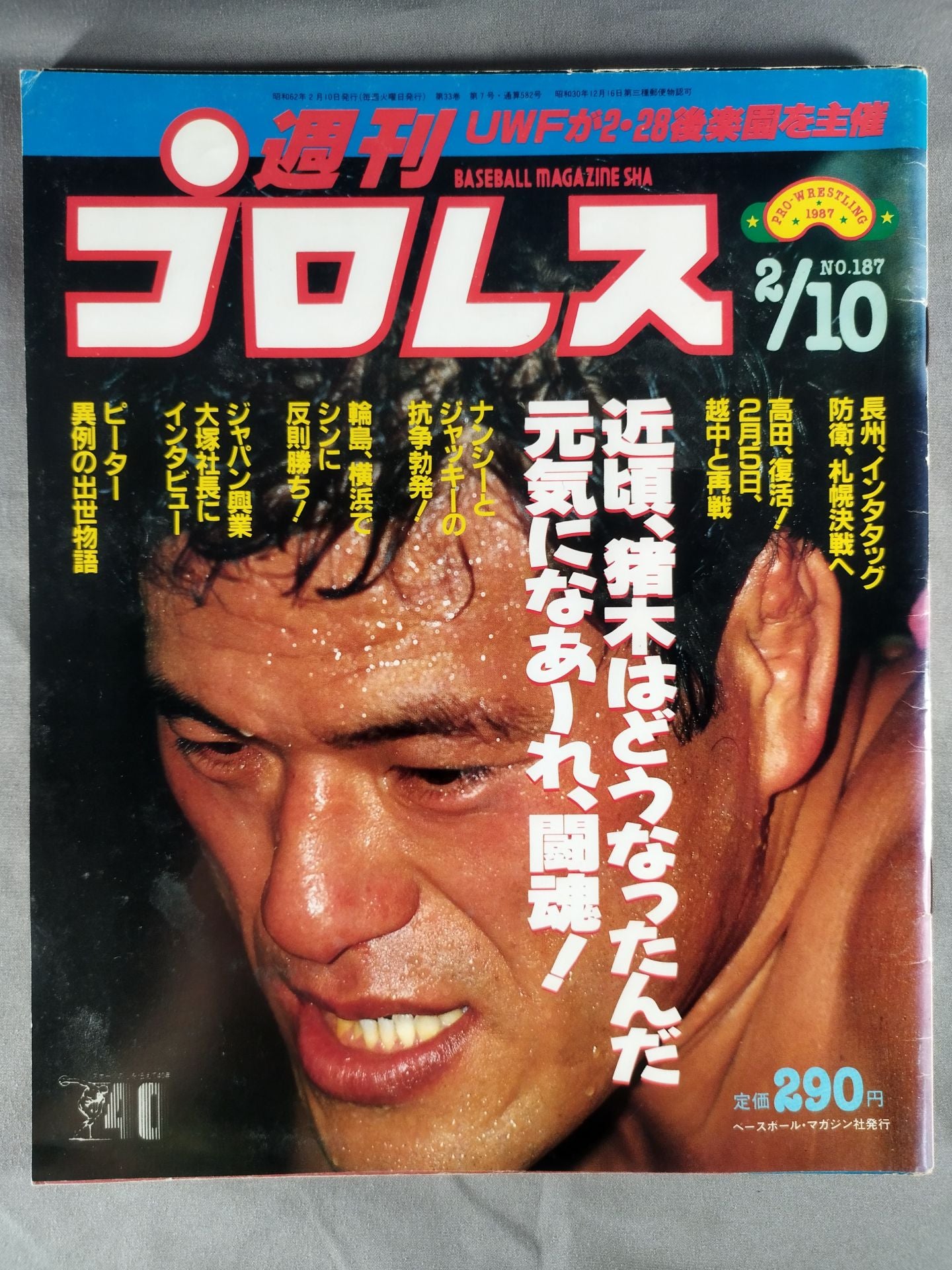 Weekly Pro Wrestling 187