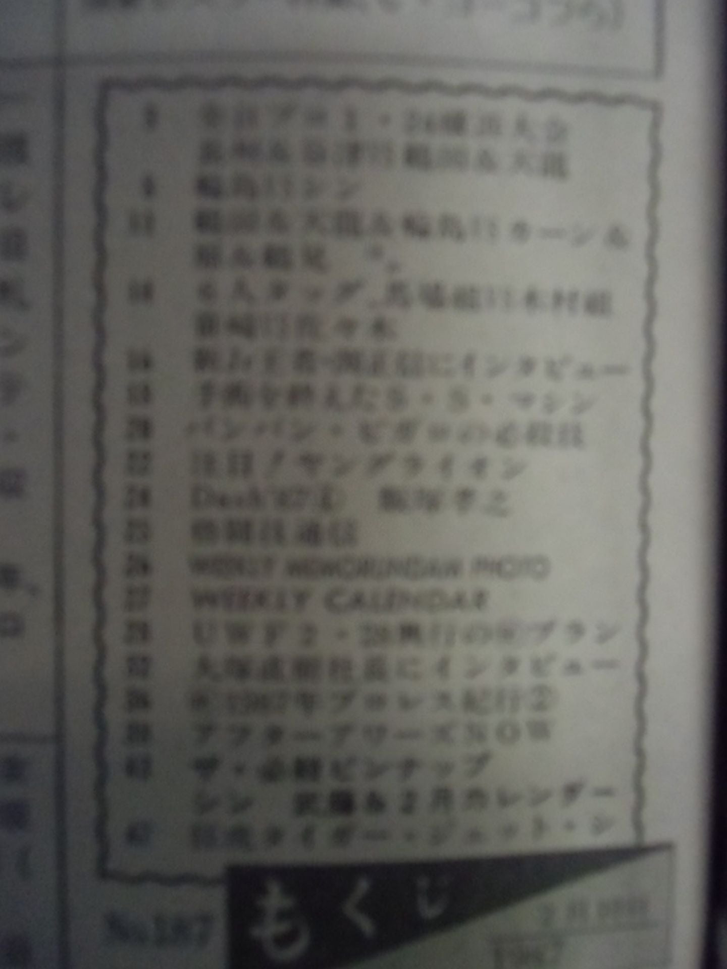 Weekly Pro Wrestling 187