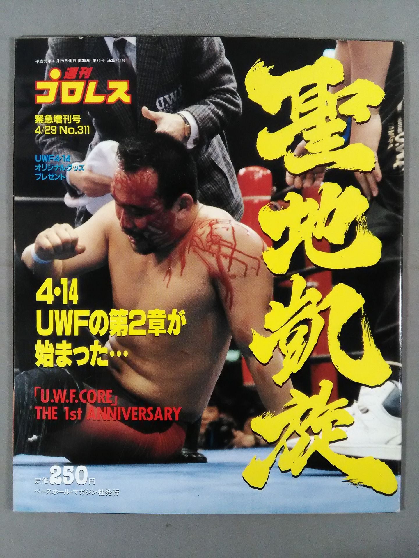 週刊プロレス311