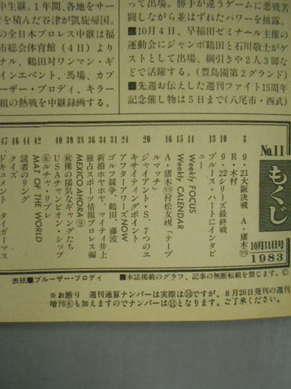 週刊プロレス11