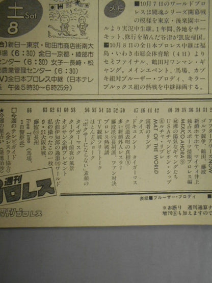 週刊プロレス11