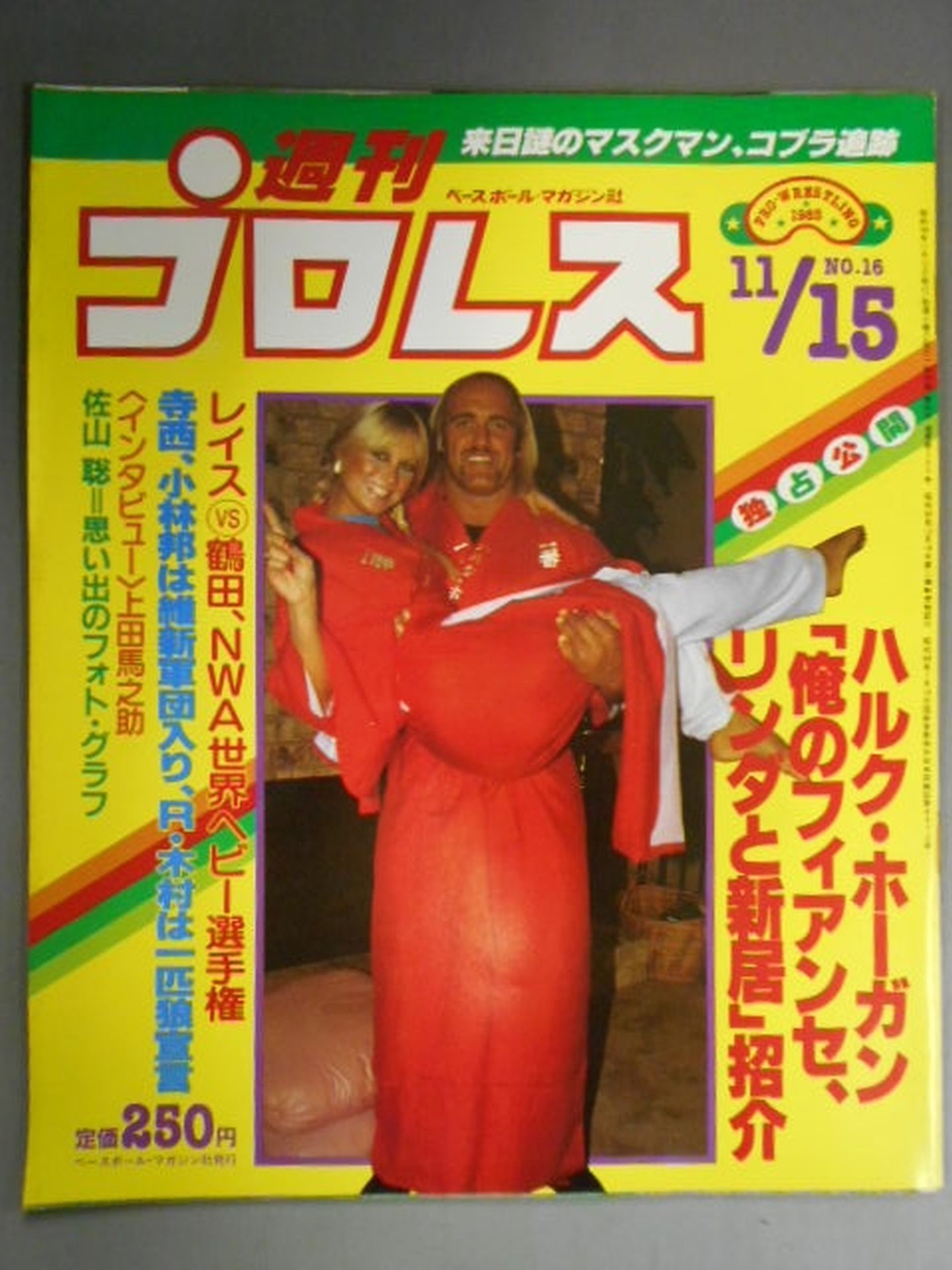 Weekly Pro Wrestling 16
