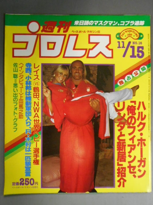 Weekly Pro Wrestling 16