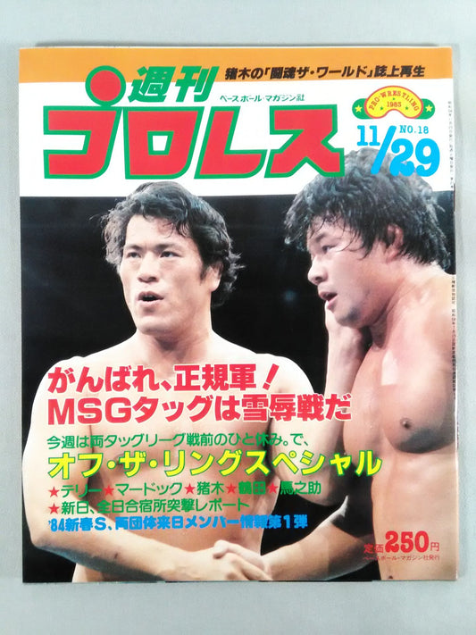 Weekly Pro Wrestling 18