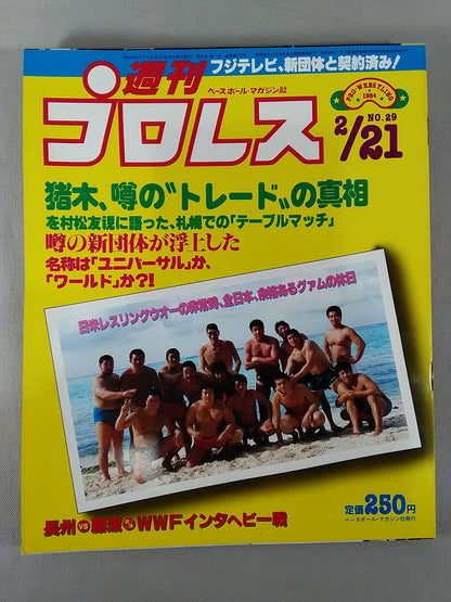 Weekly Pro Wrestling 29