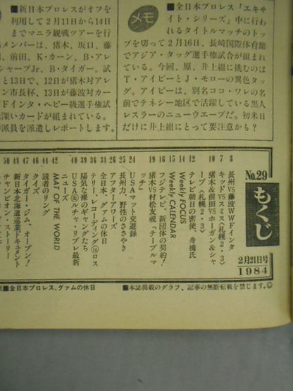 Weekly Pro Wrestling 29