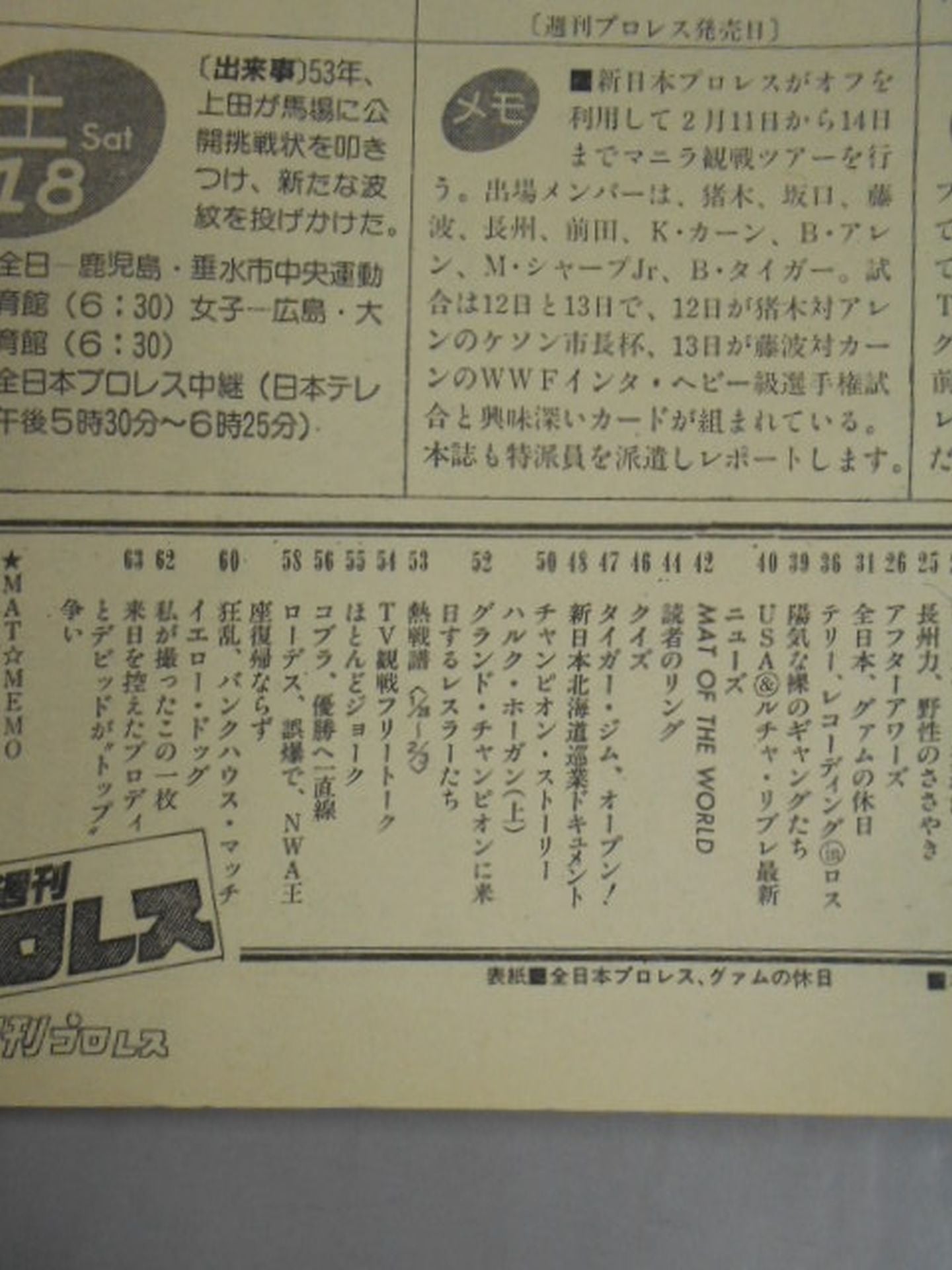 Weekly Pro Wrestling 29