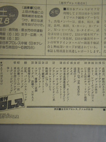 Weekly Pro Wrestling 29