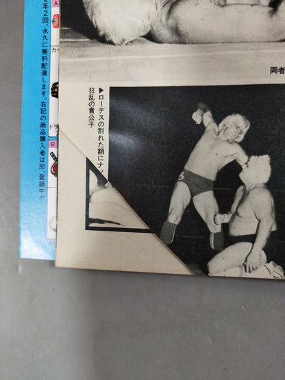 Weekly Pro Wrestling 29