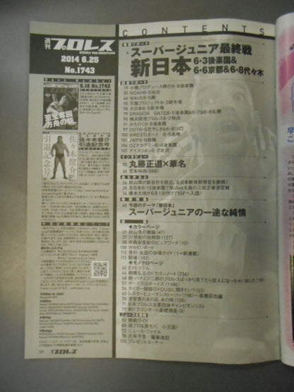 週刊プロレス1743