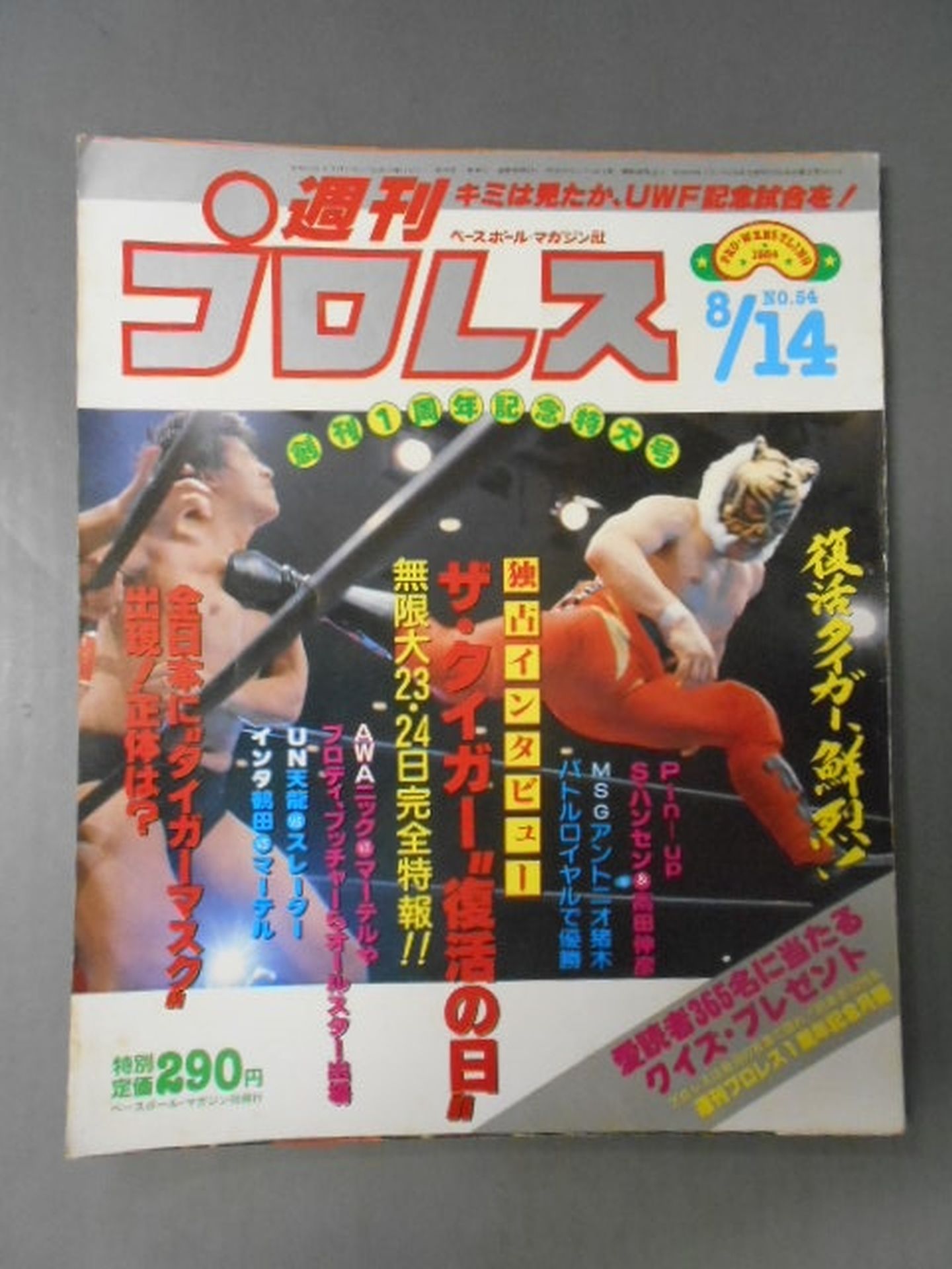 Weekly Pro Wrestling 54