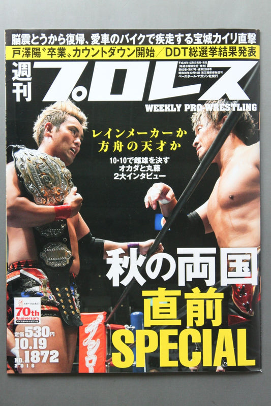 Weekly Pro Wrestling 1872