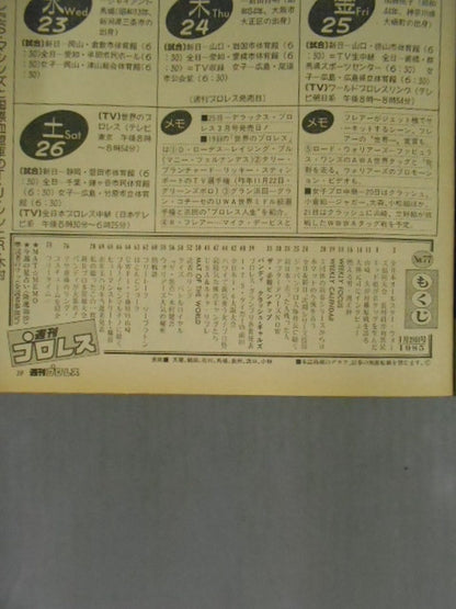 Weekly Pro Wrestling 77