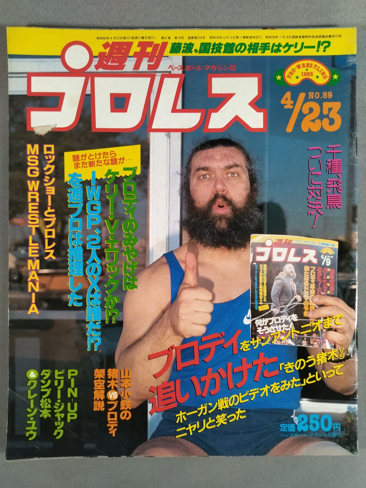 Weekly Pro Wrestling 89