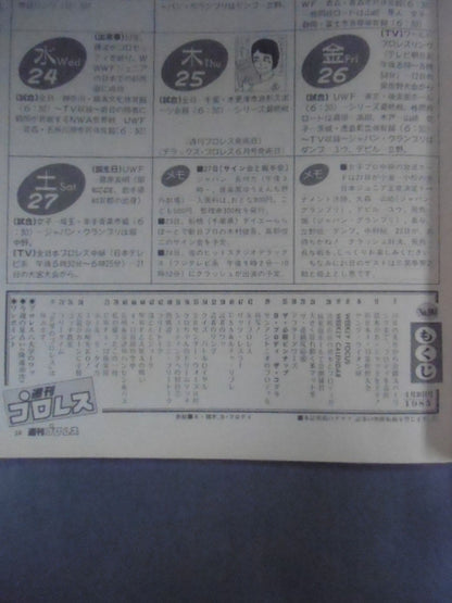 Weekly Pro Wrestling 90