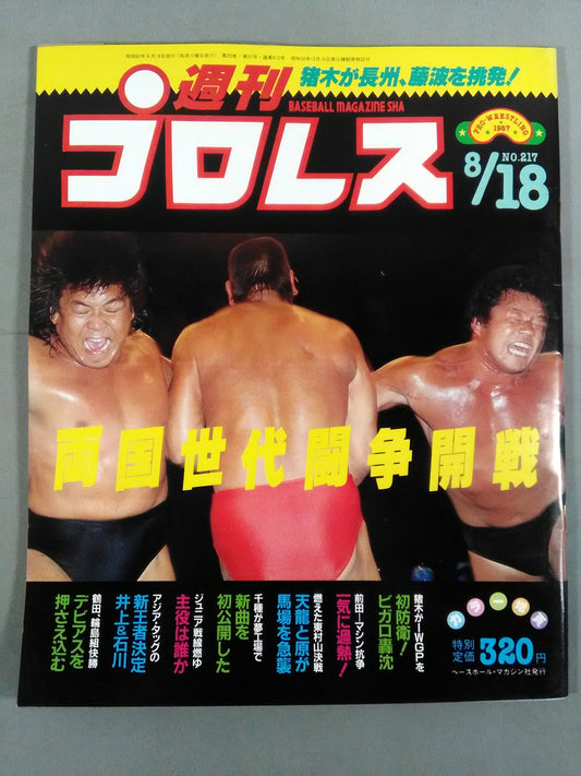 Weekly Pro Wrestling 217