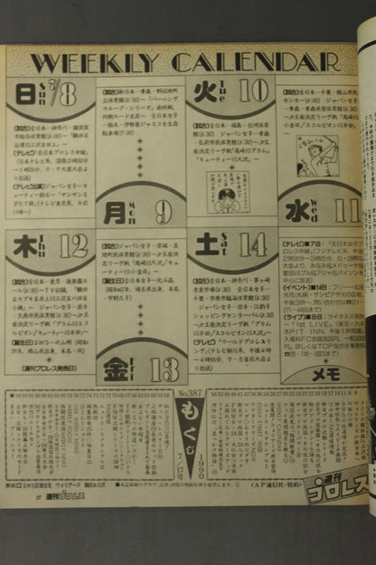 Weekly Pro Wrestling  387