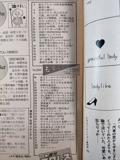 週刊プロレス260
